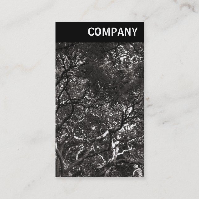 V Header - Japanskt Grenar 01 Visitkort (Framsida)