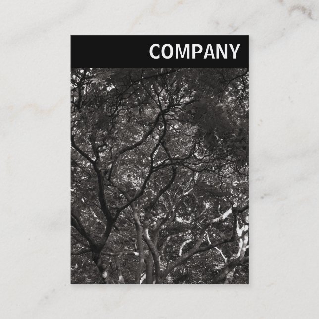 V Header - Japanskt Grenar 01 Visitkort (Framsida)