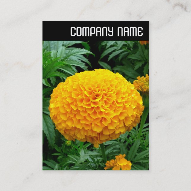 V Header - Orange Chrysanthemum Visitkort (Framsida)