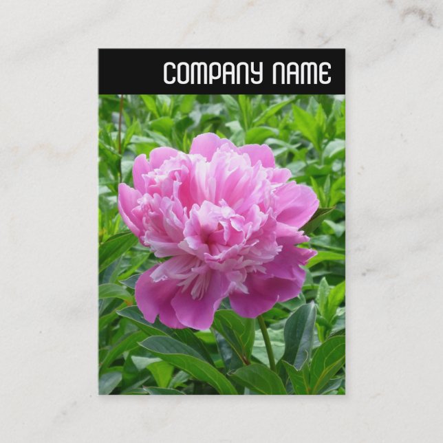 V Header - Rosa Peony Visitkort (Framsida)