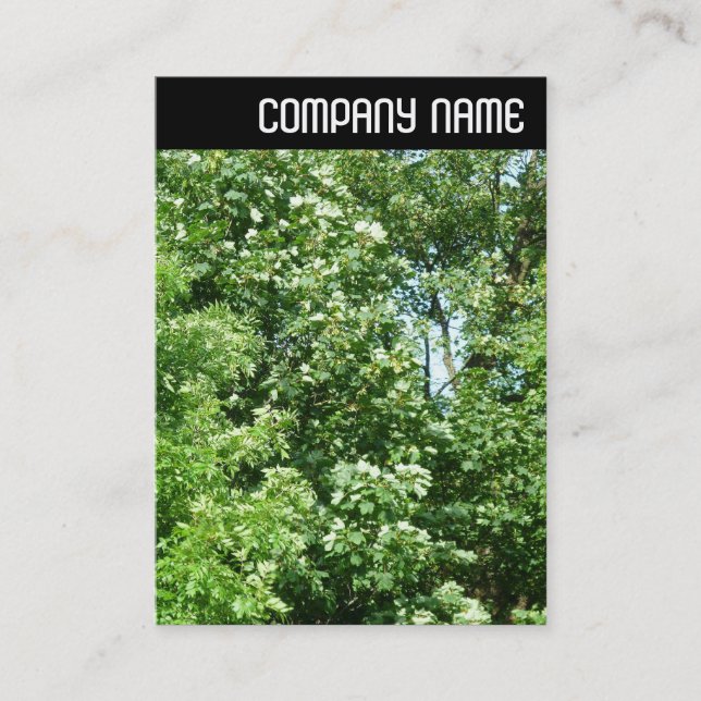 V Header - Sommar Breeze Visitkort (Framsida)