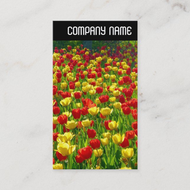 V Header - Tulips sjön Visitkort (Framsida)