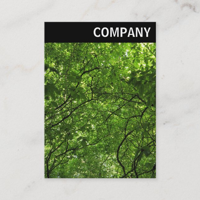 V Header - Woodland Canopy Visitkort (Framsida)