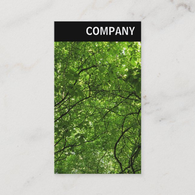 V Header - Woodland Canopy Visitkort (Framsida)