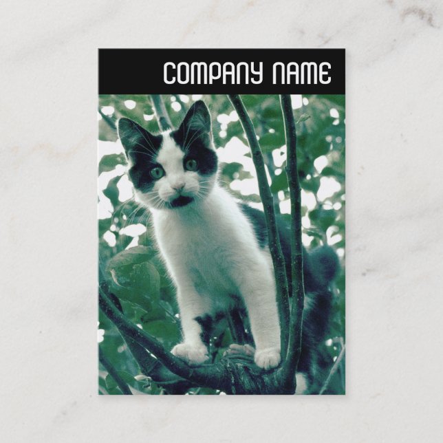 V Huvud - Överflödig stelhet Visitkort (Framsida)