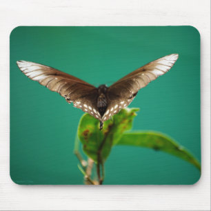V Mousepad Musmatta