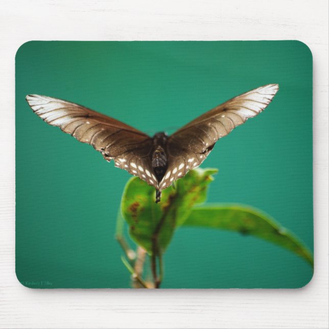 V Mousepad Musmatta (Framsidan)