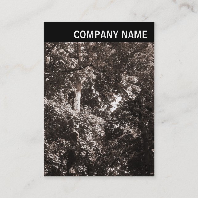 V Rubrik - Bild - Flygplan Träd Visitkort (Framsida)