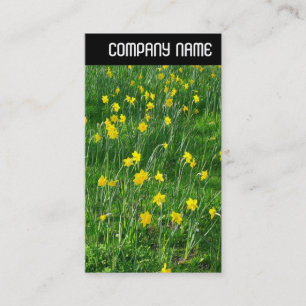 V Rubrik - Daffodils/Narcissus Visitkort