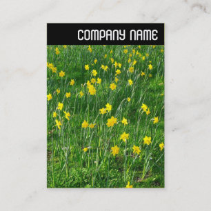 V Rubrik - Daffodils/Narcissus Visitkort