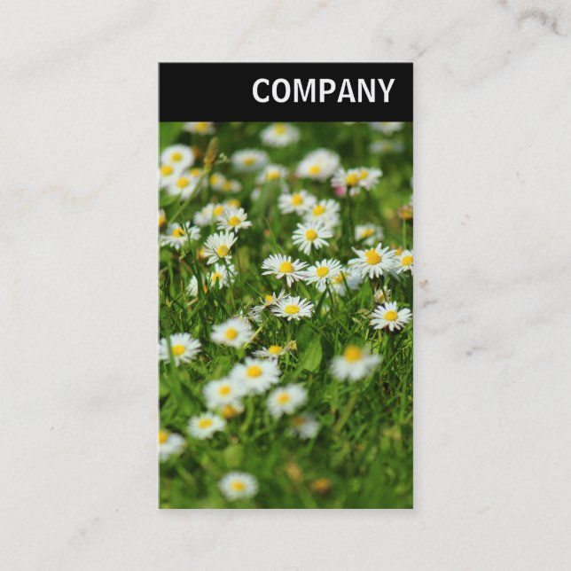 V Rubrik - Daisy - skuggor Visitkort (Framsida)