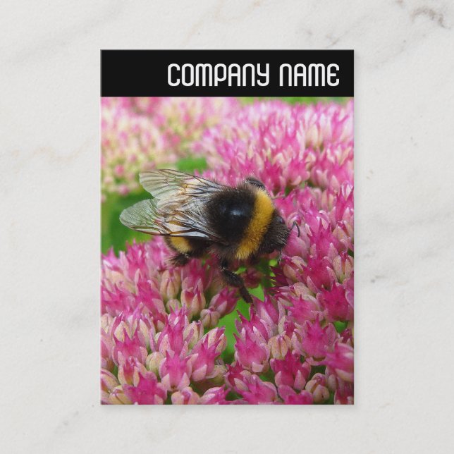 V Rubrik - Humla på Sedum Visitkort (Framsida)