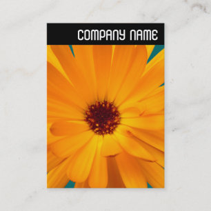 V Rubrik - Orange Marigold Visitkort