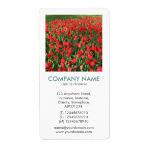 V Square Photo - Bed of Red Tulips 02 Fraktsedel