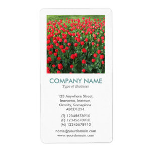 V Square Photo - Bed of Red Tulips Fraktsedel