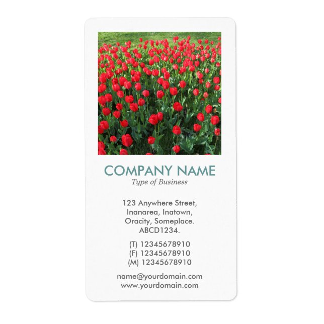 V Square Photo - Bed of Red Tulips Fraktsedel (Framsidan)