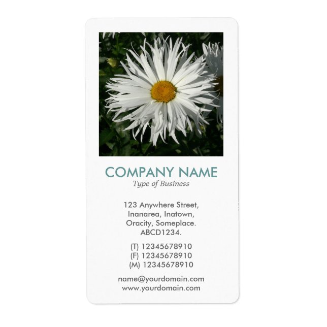 V Square Photo - Candy Tuft Daisy Fraktsedel (Framsidan)