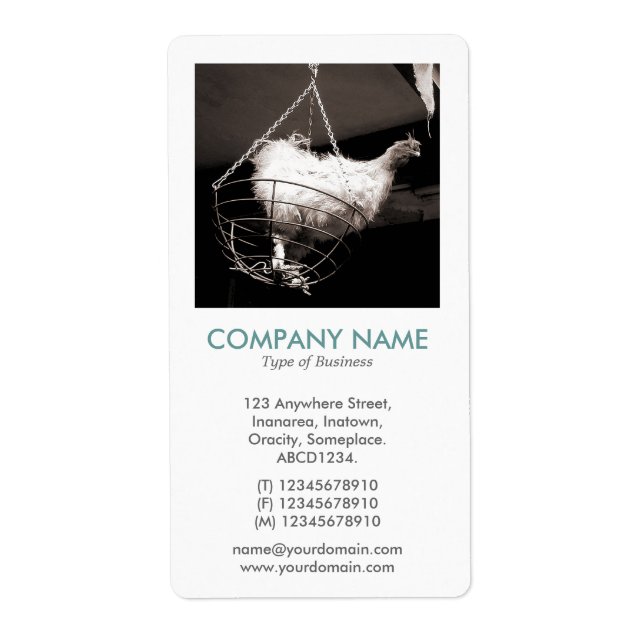 V Square Photo - Chicken i Basket Fraktsedel (Framsidan)