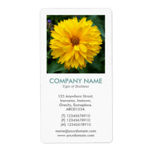 V Square Photo - Chrysanthemum Fraktsedel