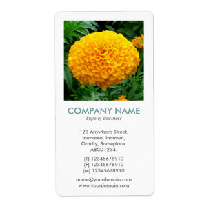 V Square Photo - Chrysanthemum II Fraktsedel