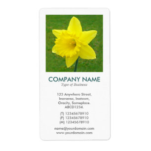 V Square Photo - Daffodil Fraktsedel