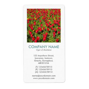 V Square Photo - Red Tulips Fraktsedel
