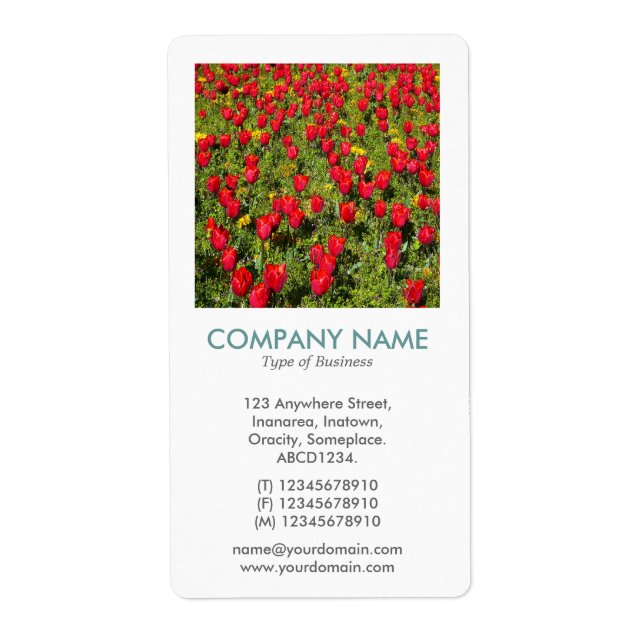 V Square Photo - Red Tulips Fraktsedel (Framsidan)