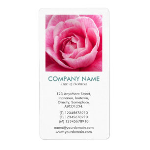 V Square Photo - Rosa Camelia Fraktsedel