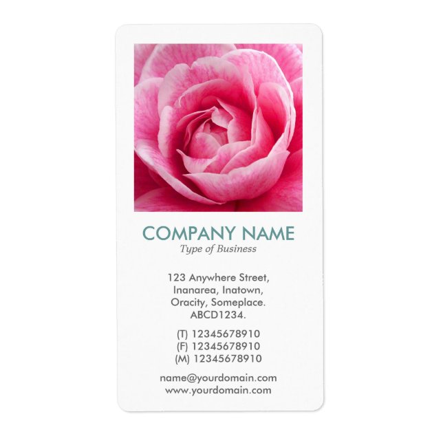 V Square Photo - Rosa Camelia Fraktsedel (Framsidan)