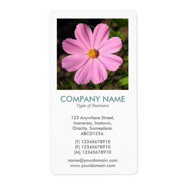 V Square Photo - Rosa Cosmos Fraktsedel (Framsidan)