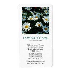 V Square Photo - Shasta-Daisy Fraktsedel