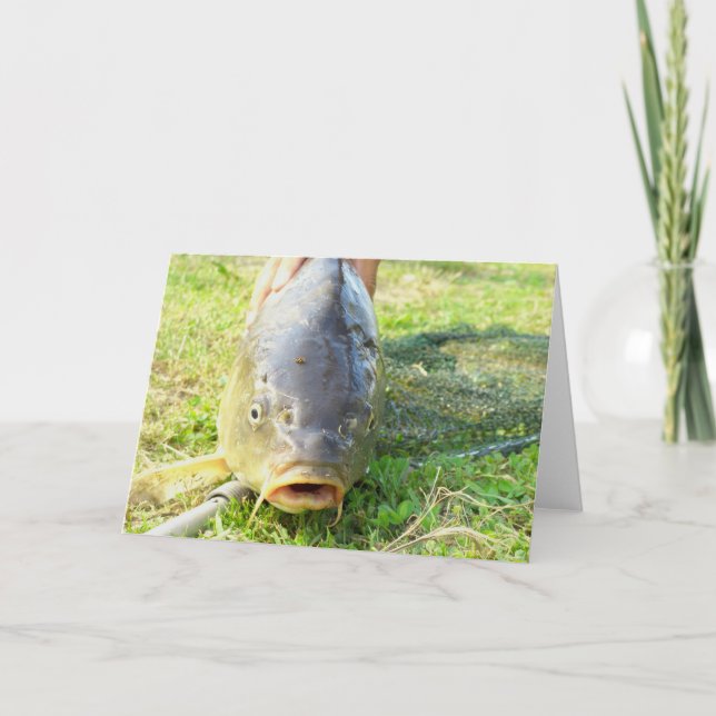 Va? - Carp Close Kort (Framsida)