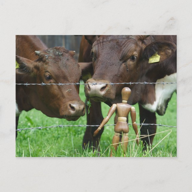 Va? Vykort (Framsida)