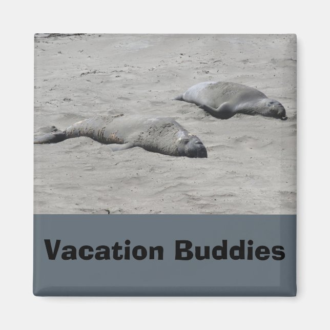Vacation Buddies Magnet (Framsidan)