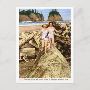Vacation Roligt, Olympic National Park, Vintage Vykort