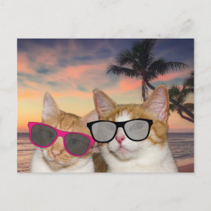 VACATION-vykort för CAT PÅ BEACH 'CAT COUPLE' Vykort