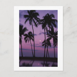 Vacationstid! Vykort