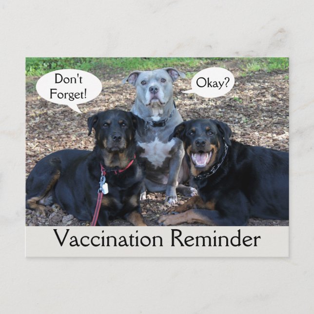 Vaccination Doggie Family Postcard Vykort (Framsida)