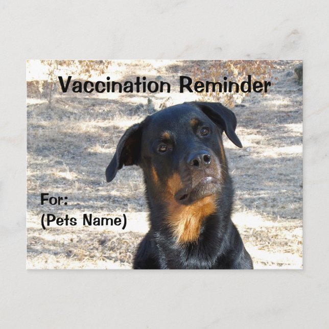 Vaccinationspåminnelse Rottweiler-vykort Vykort (Framsida)