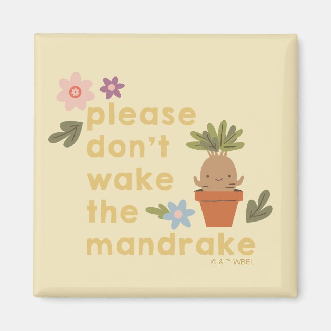 Väck Inte Mandraken Magnet (Framsidan)