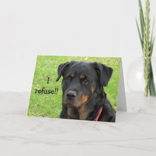 Väck inte Rottweiler Get-brunn Card Kort