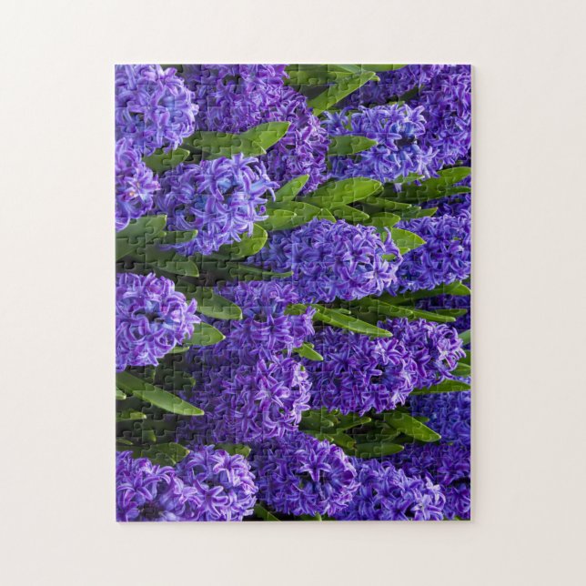 Vackblått/Lila Hyacinths Pussel (Vertikal)