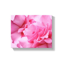Vacker abstrakt snygg rosa ros modern blomsterkons