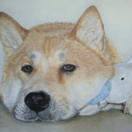 vacker akita-hund med omtänksamma uttryck vykort