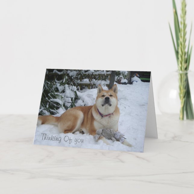 vacker akita-hund som vilar i snö helgkort (Framsida)