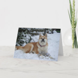 vacker akita hund som vilar i snön jul helgkort