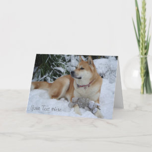vacker akita som vilar i snön jul helgkort