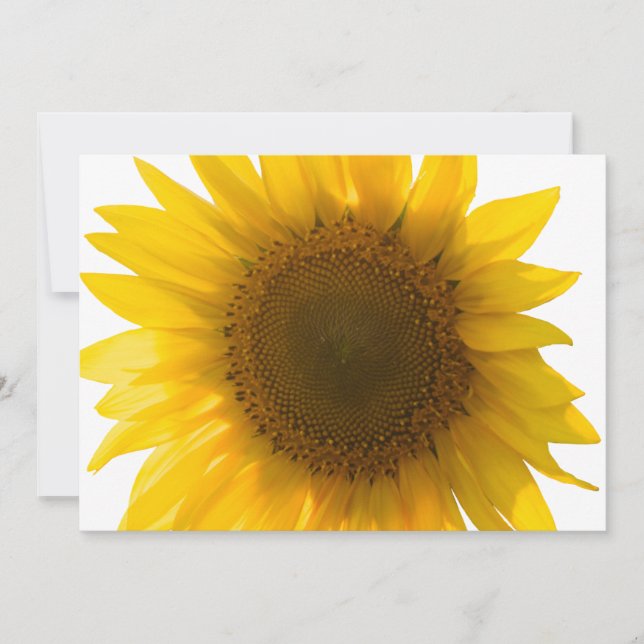 Vacker äkta solrosfoto minimalistiskt mönster (Framsida)