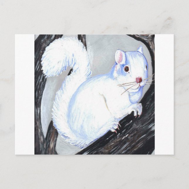 Vacker Albino Squirrel Vykort (Framsida)