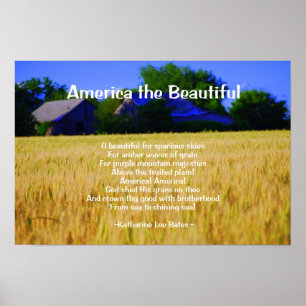 Vacker Amerika-utskrift Poster